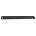 CAT6 Surge-Protected Patch Panel